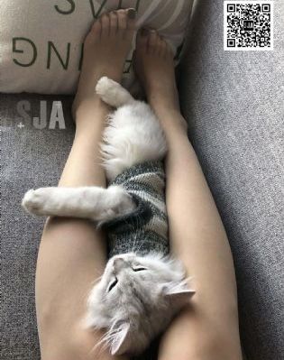 视频一区二区欧美激情_完整无删减版