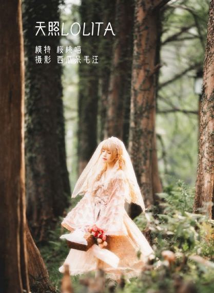 欧美日韩理伦_剧情片在线播放